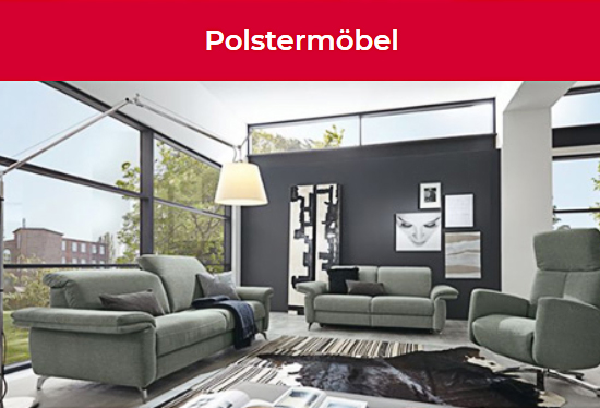 Polstermöbel für 08056 Zwickau